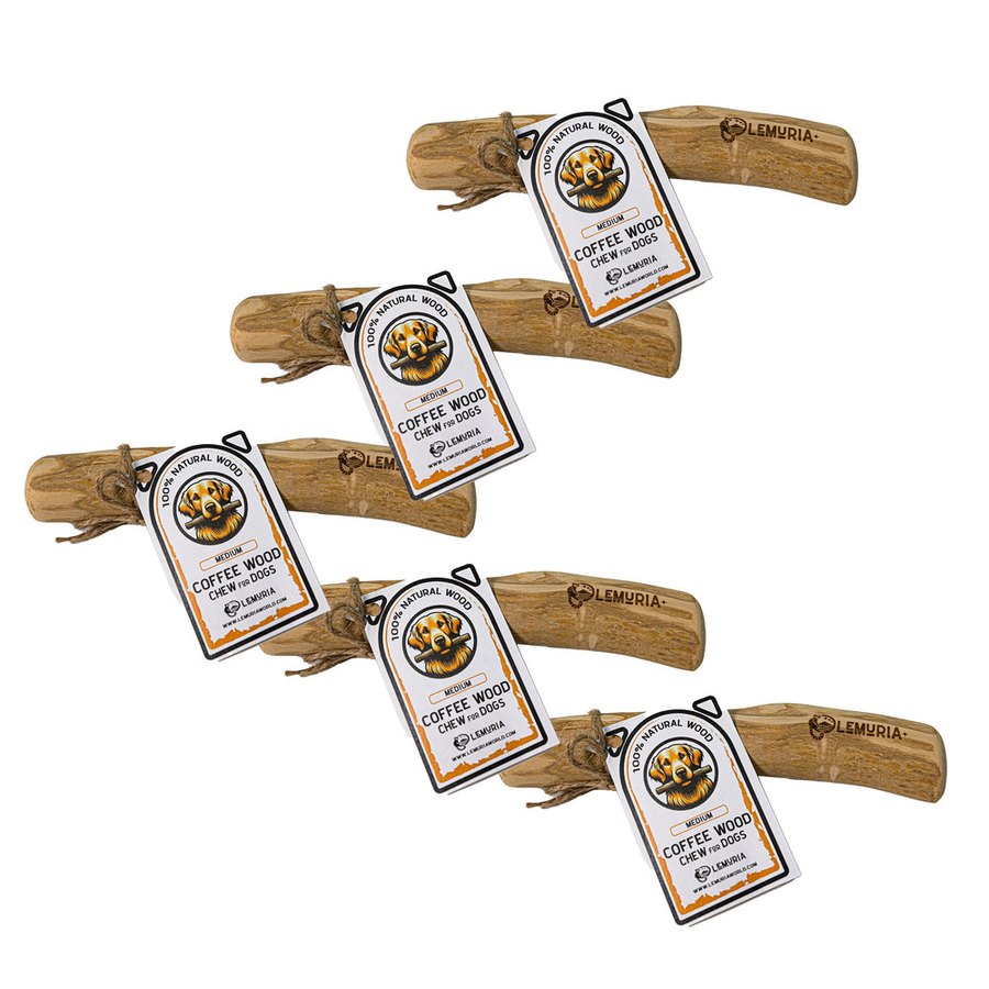 Set of 5 Lemuria Coffee Wood Chew Stick Natural Toy for Dogs